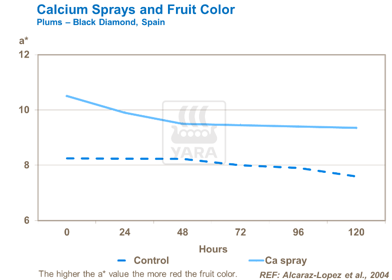 Pulvérisation de calcium et couleur des fruits - Prunes