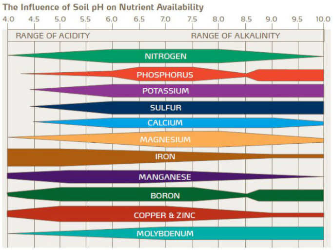 Influence acidité des sols sur disponibilité des nutriments