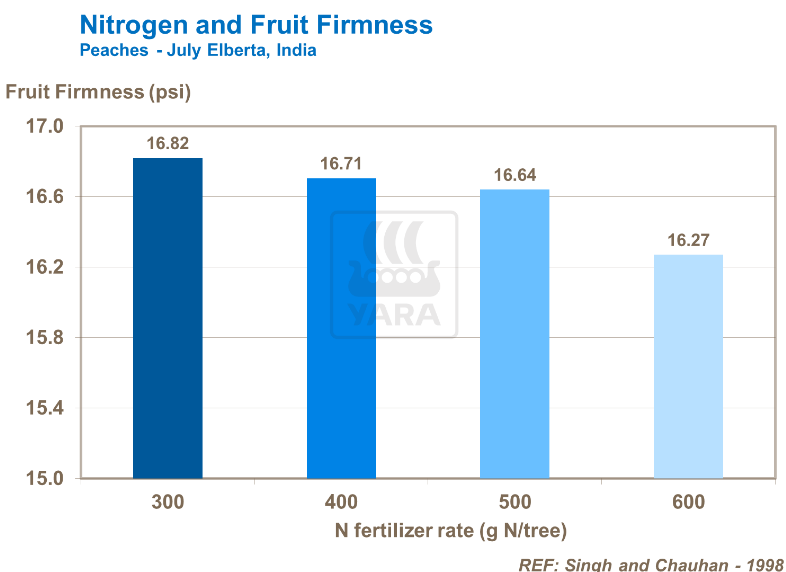 Azote et fermeté des fruits - Pêches