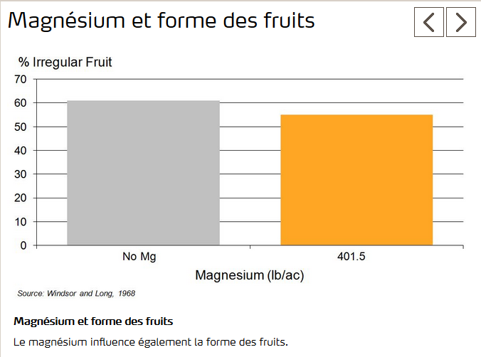 Magnésium influence forme des fruits