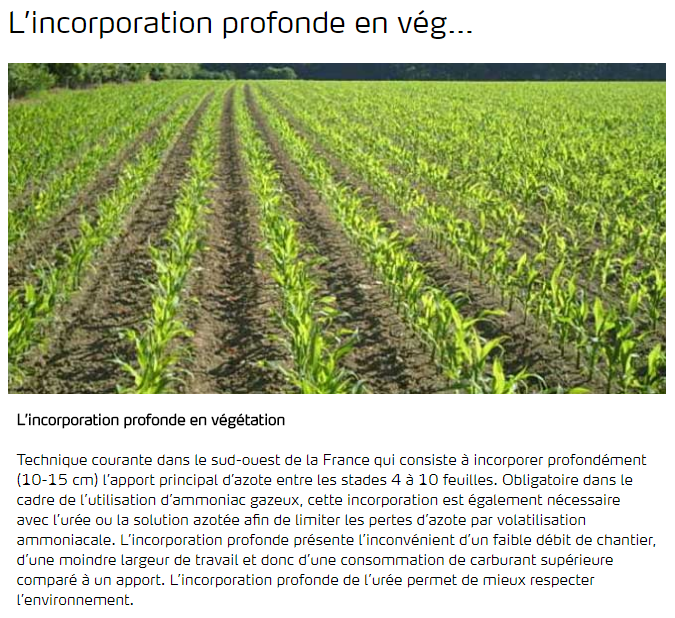 L'incorporation profonde