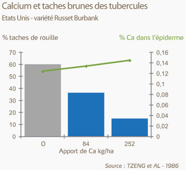 calcium et taches brunes des tubercules