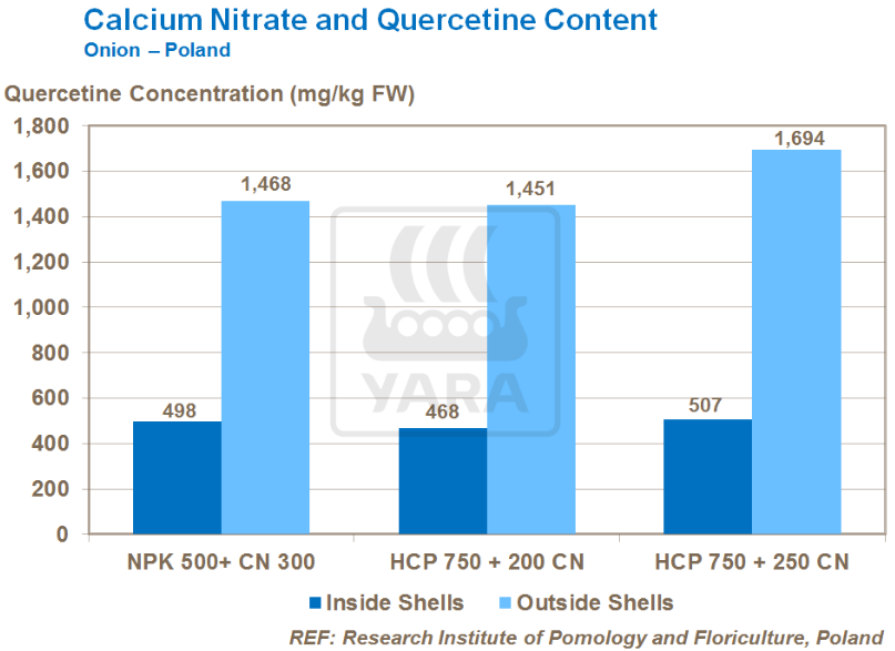 Nitrate de calcium et teneur en quercétine 