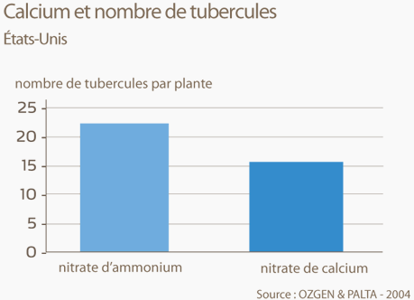 calcium et nombre de tubercules
