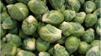 Choux de Bruxelles