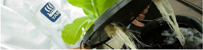 illustration recherche sur fertilisation