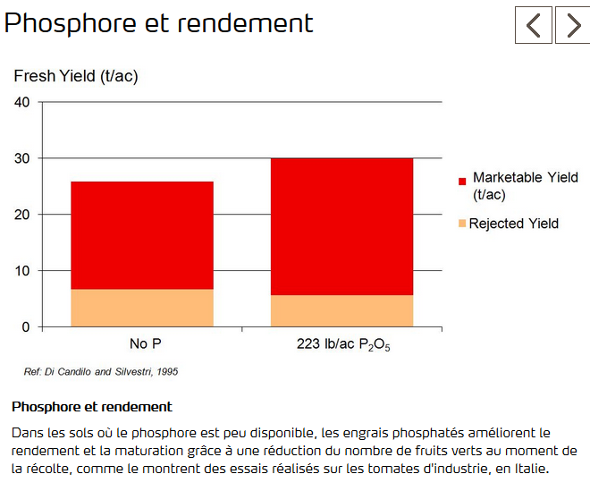 Graphique sur liens entre phosphore et rendement