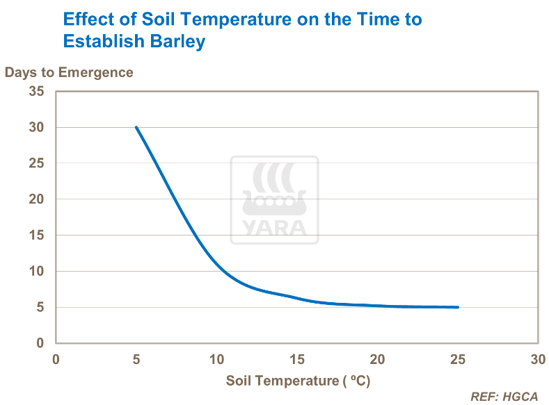 Effets de la température du sol sur temps d'établissement de l'orge