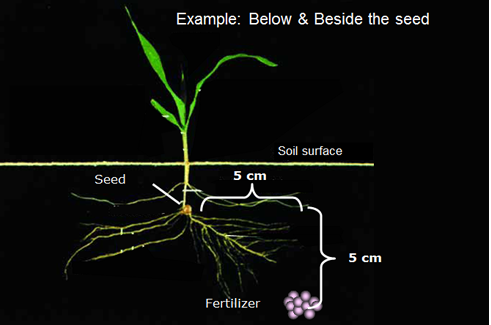 Schéma application fertilisant