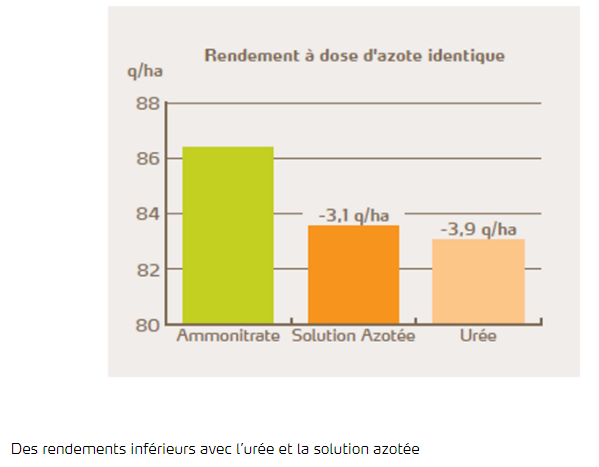 Rendement à dose d'azote identique 