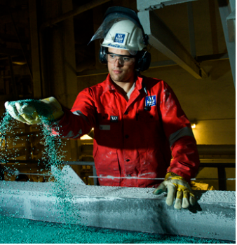 Employé Yara avec graines d'engrais dans la main