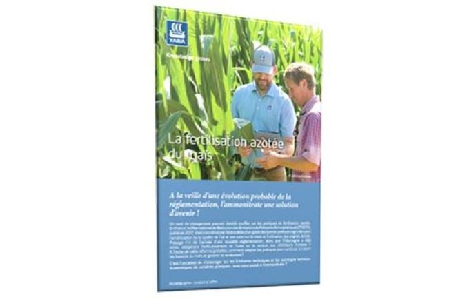 La fertilisation azotée du maïs