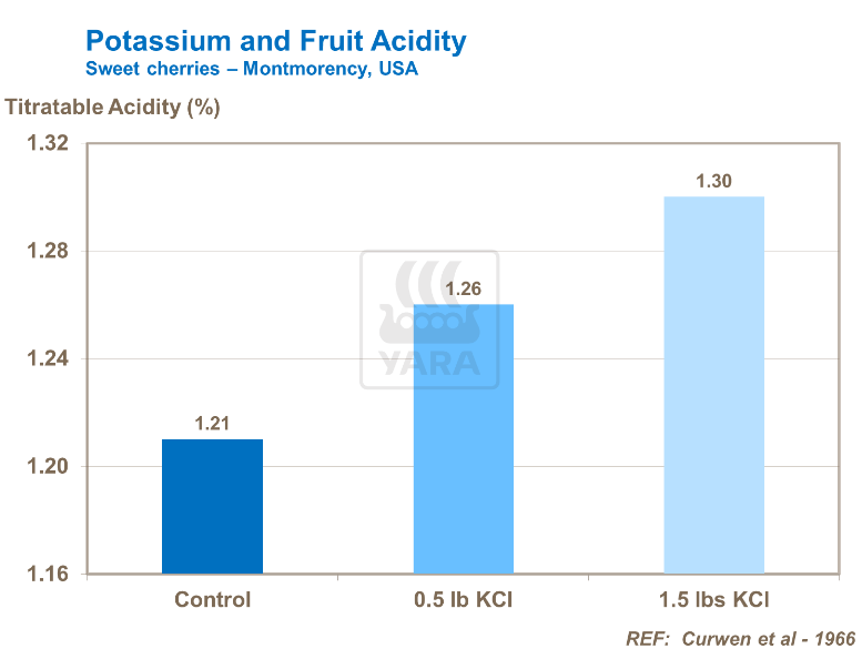 Potassium et acidité des fruits - Cerises 