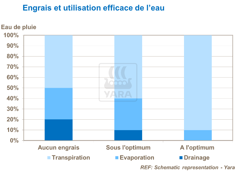Engrais et utilisation efficace de l'eau