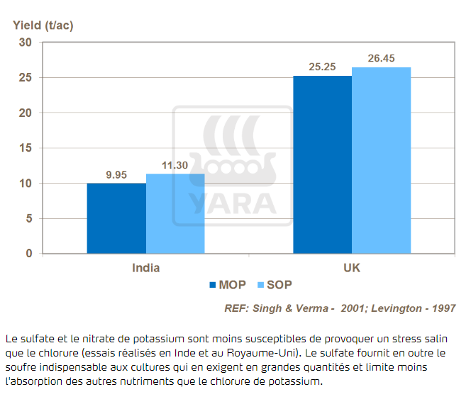 Potassium et rendement