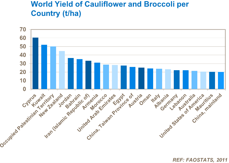 Rendement mondial de chou-fleur et brocoli par pays - 2011