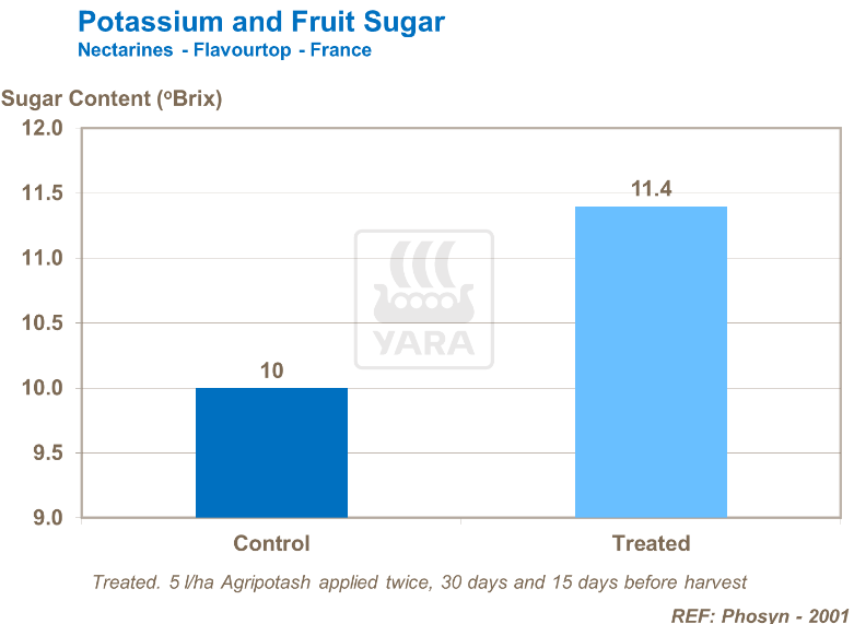 Potassium et fructose - Nectarines