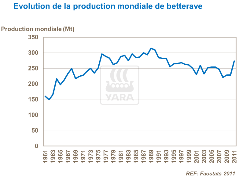 Evolution de la production mondiale de betterave