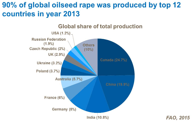 90% du colza étaient produit par top 12 des pays producteurs en 2013