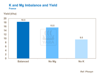 Calcium et magnésium déséquilibre et rendement