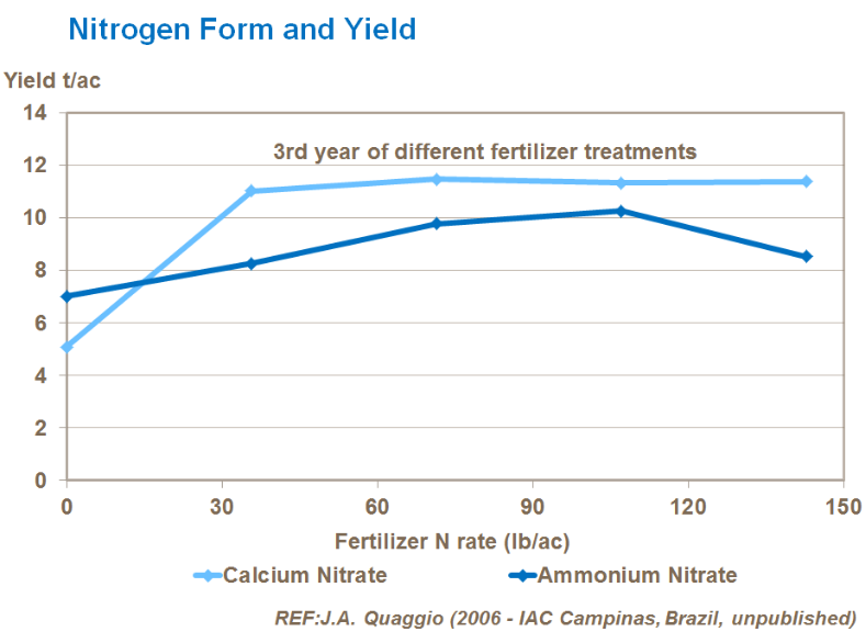 Forme d'azote et rendement
