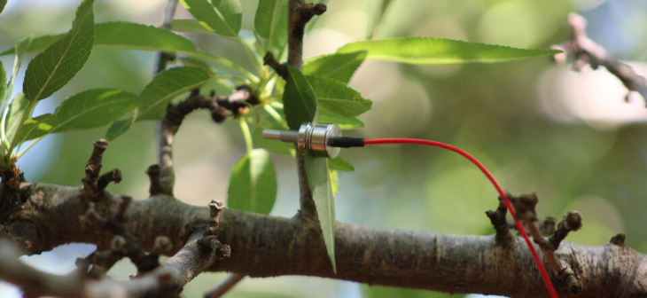 Capteur Water-Sensor de Yara