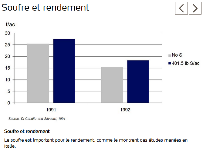 Etudes italiennent montrent importance du soufre dans rendement