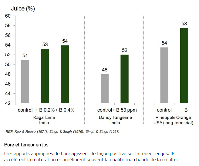 Bore et teneur en jus