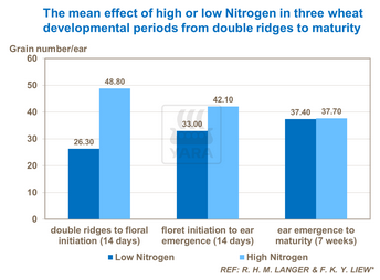 Effet azote à 3 périodes de développement du blé