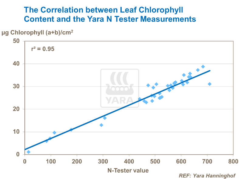la corrélation entre la teneur en chlorophylle des feuilles et les mesures du testeur yara N