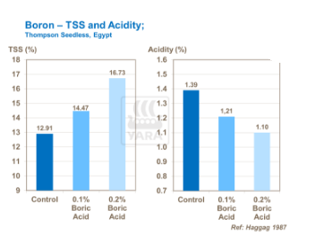 Graphique, rôle du bore sur acidité