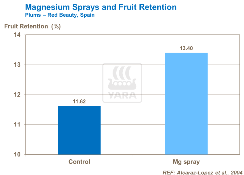 Pulvérisation de magnésium et rétention des fruits - Prunes