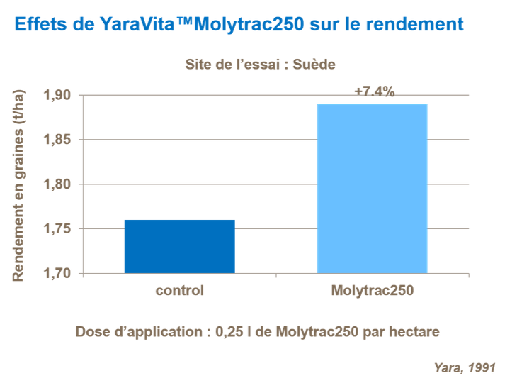 Graphique sur les effets de YaraVita™Molytrac250 sur le rendement