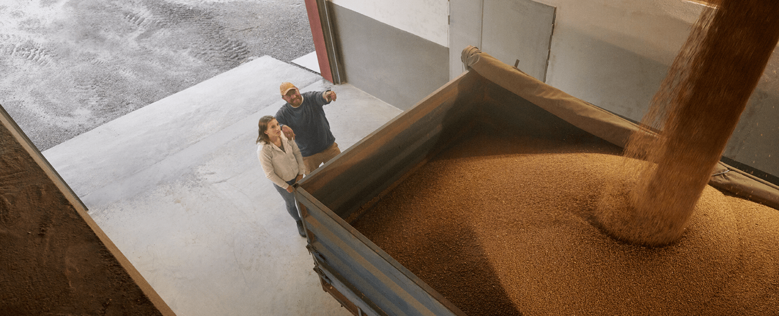 Un agriculteur et sa fille regardent leur récolte de blé
