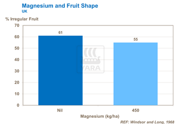Graphique sur liens entre magnesium et forme des tomates
