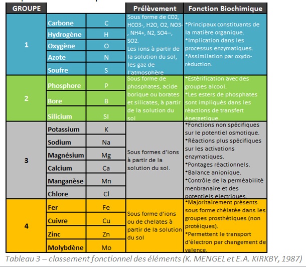 Tableau regroupant les éléments par identité de comportement biochimique