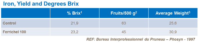 Fer, rendement et degrés Brix