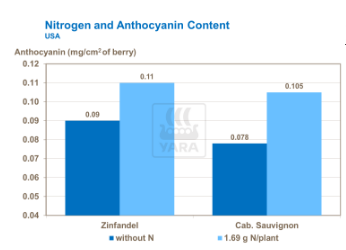Effet de l'azote sur couleur du vin