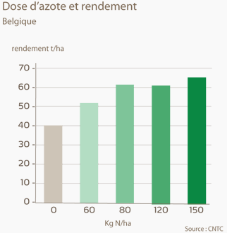 azote et rendement