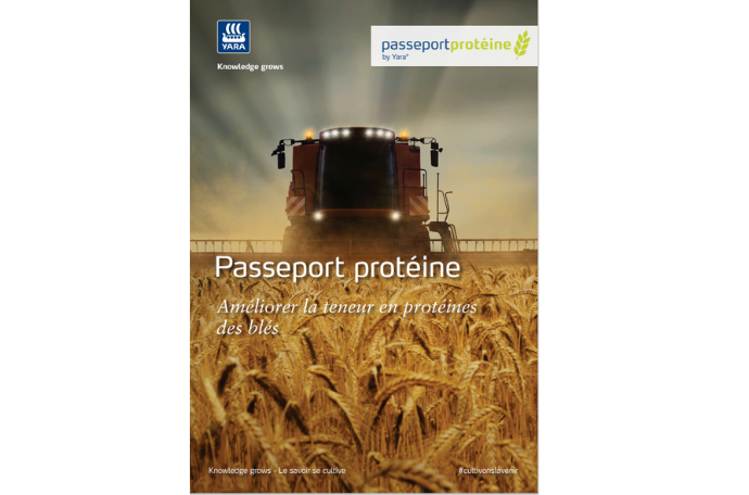 La fertilisation du blé