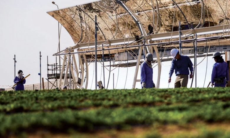 Agriculture en milieu aride