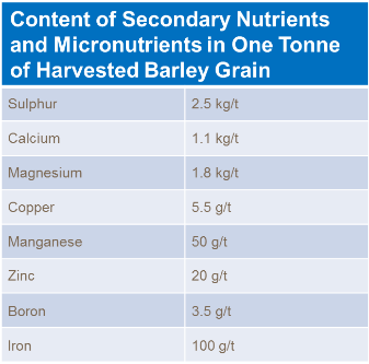teneur en nutriments secondaires et en micronutriments dans une tonne de grains d'orge récoltés