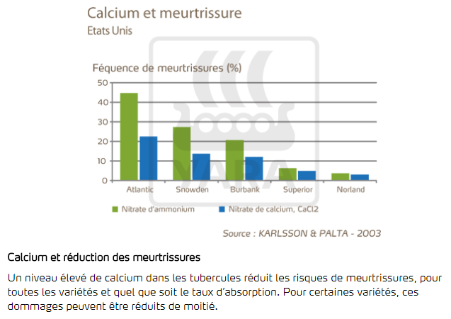 calcium et meurtrissure