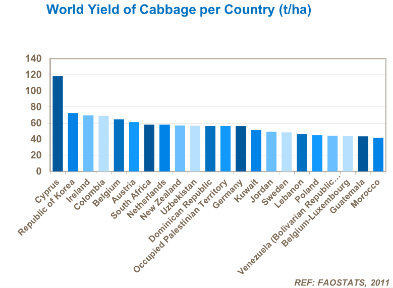 Rendement mondial de chou par pays